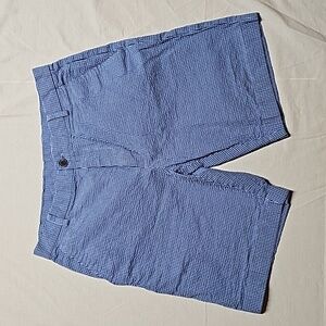 Brooks Brothers blue checked shorts
